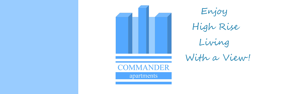 Commander_web_logo_8